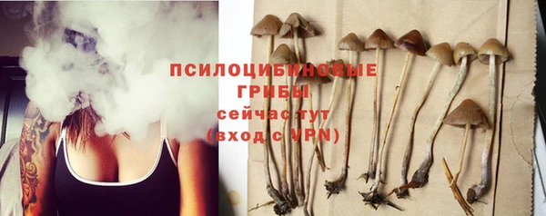 дмт Гусев