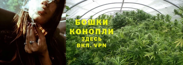 соль курить ск Дмитриев
