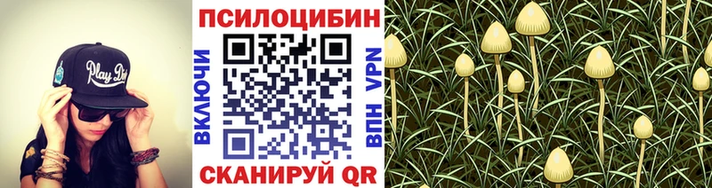 Галлюциногенные грибы Magic Shrooms  как найти закладки  Евпатория 