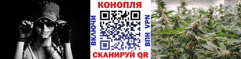 Канабис OG Kush  Евпатория 